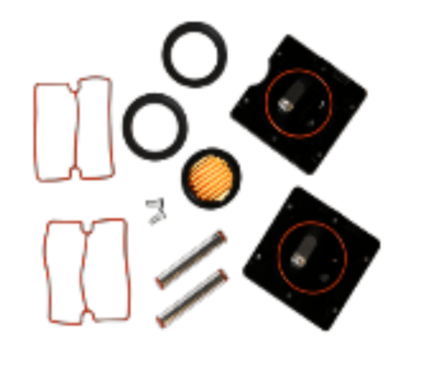 Bambi Pump Service Kit for PT Pumps (BPPT1)