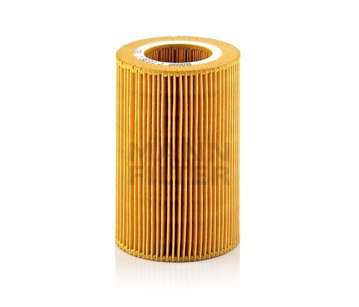 Mann Filter (C1036-1)